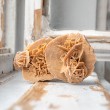 desert rose, sand rose, selenite rose, desert flower, sand flower, selenite