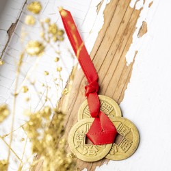 FENG SHUI coin set of 3 for luck, chinese new year