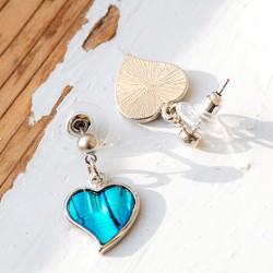 Pāua Shell earrings, Pāua Shell, earrings, earrings with shell, abalone