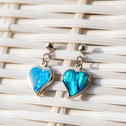 Pāua Shell earrings, Pāua Shell, earrings, earrings with shell, abalone