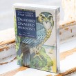 oracle cards, tarot cards, slovenian oracle cards