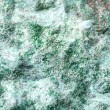 fuchsite, fuchsite crystal, raw fuchsite, raw crystal, bigger crystal