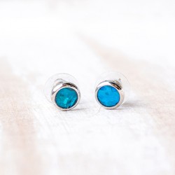 Pāua školjka, abalone, ,nakit iz školjke, paua školjka komplet, ogrlica, uhani,