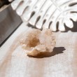 CLEAR QUARTZ geode mini, geode, clear quartz, mini geode
