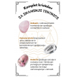 KOMPLET KRISTALOV ZA ZNAMENJE tehtnice, roževec, kamena strela, rodonit
