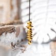 Brass pendulum, pendulum, BRASS pendulum ISIS