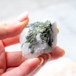 Raw green tourmaline in quartz crystal specimen