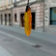 AMBER necklace polished piece, amber necklace, amber jewelry, amber