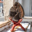 septarian, septarian jajce septarian rastišče, večji kristal zamajevo jajce