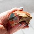 POLYCHROME JASPER CRYSTAL POINT POLYCHROME JASPER