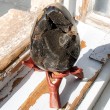 SEPTARIAN EGG septarian