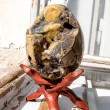 SEPTARIAN EGG septarian crystal