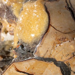 SEPTARIAN EGG septarian crystal