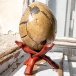 SEPTARIAN EGG septarian crystal