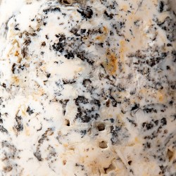 DENDRITIC OPAL  crystal, dendritic opal gemstone