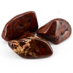 breckie jasper, jasper