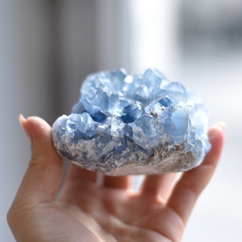 rastišča geode