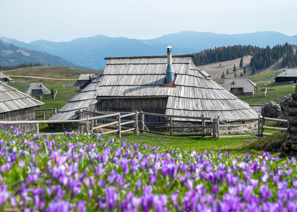 velika planina
